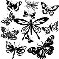 Vibrant Collection of Isolated Multihued Butterflies in Format vector