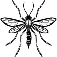 Isolated Mosquito Insect Sketch in Detailed and Realistic Style vector