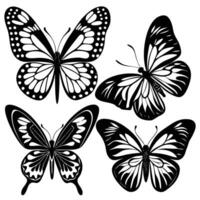 Exquisite Array of Butterflies in a Flattened Position in a Set of Three vector
