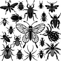 A Diverse Collection of Insects Displaying Intricate Details vector