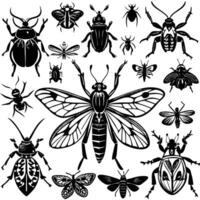 Expansive Collection of Insects Captured in Mesmerizing Detail vector