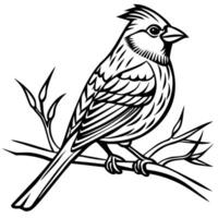 Continuous Line Drawing of a Bird Perched on a Branch vector