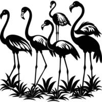 Silhouette of a Graceful Flamingo on Pristine White Background vector