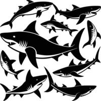 Collection of Intricate and Menacing Shark Silhouettes in Format vector