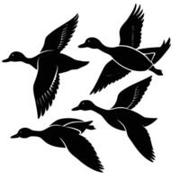 Silhouetted Flock of Flying Ducks against Isolated Sky vector