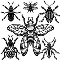 A Diverse Array of Insects in Vibrant Hues vector
