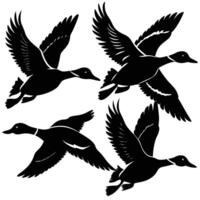 Silhouette of a Flock of Flying Ducks Isolated on White Background vector