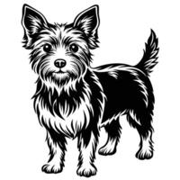 Sketch of a Group of Dogs on a White Background in Format vector