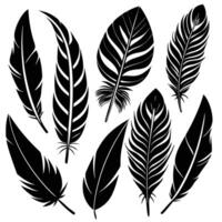 FlatStyle Isolated s of a Diverse Range of Bird Feathers vector