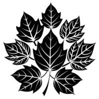 Autumn Foliage in Vibrant Array 3 FlatStyle Leaf Illustrations vector
