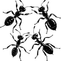 Intriguing Set of Ants Ready to Explore vector