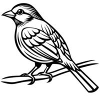 Intricate SingleLine Drawing of a Bird Perched on a Branch vector