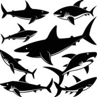 Collection of Graceful Shark Silhouettes in Format vector