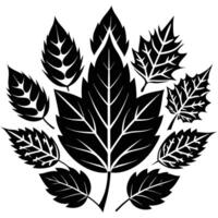 Colorful Autumn Tree Leaves in Style vector