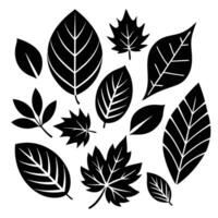 Autumn Foliage Set in Vibrant Hues on a Minimalist White Background vector