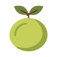 Green mamoncillo fruit icon image illustration design green apple flat style vector
