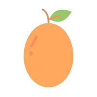 Kumquat fruit flat icon on white background for web design and mobile app vector