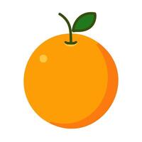 Orange fruit flat icon isolated on white background for your web and mobile app design vector