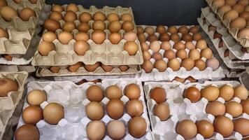 Chicken eggs lie in trays on display in a store Grocery shopping. photo