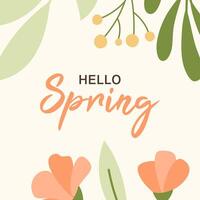 pring background with flowers and text hello spring vector