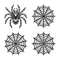 Spooky Web with Spider vector