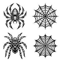 Broken Spider Web Outline vector