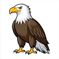 Bold Eagle with Open Wings vector