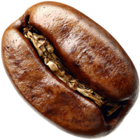 Large roasted coffee bean a deep brown color visible cracks png