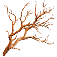 Dry twisted tree branch sharp edges no leaves sting alone png