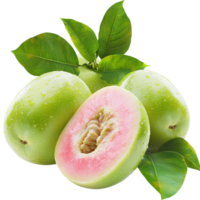 fresco verde goiabas 1 cortar aberto para mostrar Rosa carne png