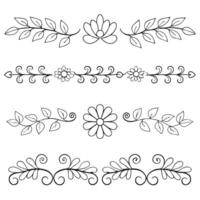 Elegant botanical line drawing with intricate floral details vector