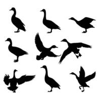 Silhouettes of ducks and geese elegant monochrome design vector