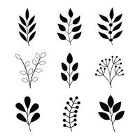 Black and white botanical leaf-pattern set elegant design vector