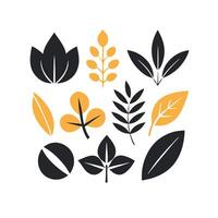 Black and coloring botanical leaf-pattern set hand-drawn illustration vector