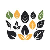 Elegant Leaf Icons Collection vector