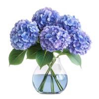hydrangeas flowers in a glass vase isolated on transparent background png
