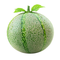 melon with water drops isolated on transparent background png