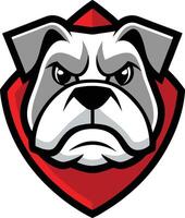 An angry bulldog mascot head on a red shield vector