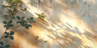 A delicate green branch casts beautiful shadows on a textured, sunlit wall, creating a serene ambiance. photo