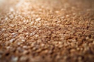 Close-up of textured brown surface showcasing intricate patterns and details. photo