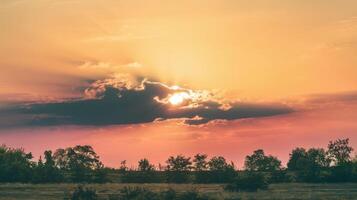 Sunset over the field with clouds and trees photo