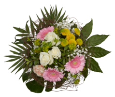 Bouquet of blooming roses top view white pink cut out isolated transparent background png