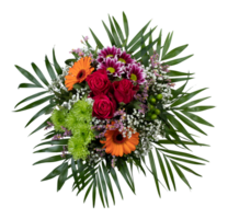 Top view of red orange blooming flower bouquet cut out isolated transparent background png
