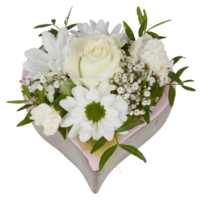White roses in a heart-shaped vase cut out isolated transparent background png