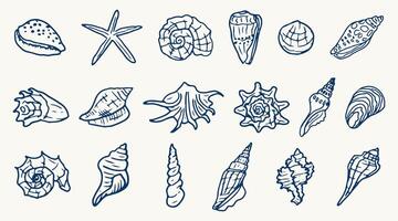 WeSet of hand drawn seashells. Beach seashells in line style in blue. Design elements for posters, menu, summer season. Trendy design in ink style vector