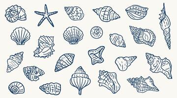 Big set of hand drawn seashells. Beach seashells in line style in blue. Design elements for posters, menu, summer season. Trendy design in ink style vector