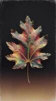 A leaf with a colorful pattern on it photo