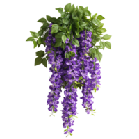 Lush Purple Cascading Flowers with Green Leaves Isolated on Transparent Background png
