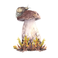 Snail on the cap of a porcini mushroom and moos. Fall arrangement with slug animal and Boletus brown cap, fungi for card, label, poster. Watercolor painted illustration isolated from background png