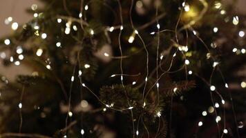 Fir branches with lots of white lights, an LED garland on a wire. Festive decorations as a symbol of the upcoming Christmas and New Year. video